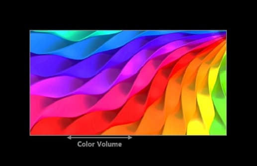 정교하고 선명한 색감